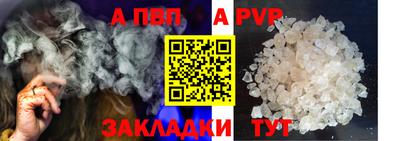 амф Кингисепп