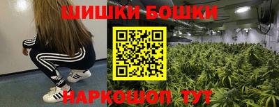 spice Кинель