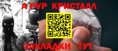 амф Кингисепп