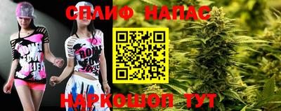 амф Кингисепп