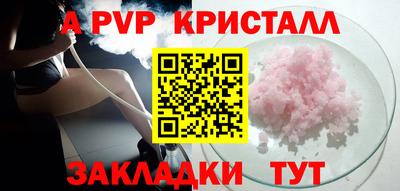 амф Кингисепп