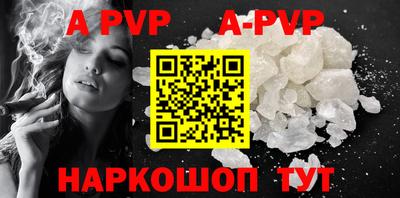 амф Кингисепп