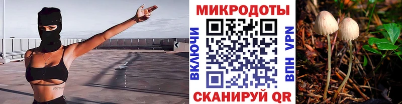 дарнет шоп Уссурийск Галлюциногенные грибы прущие грибы