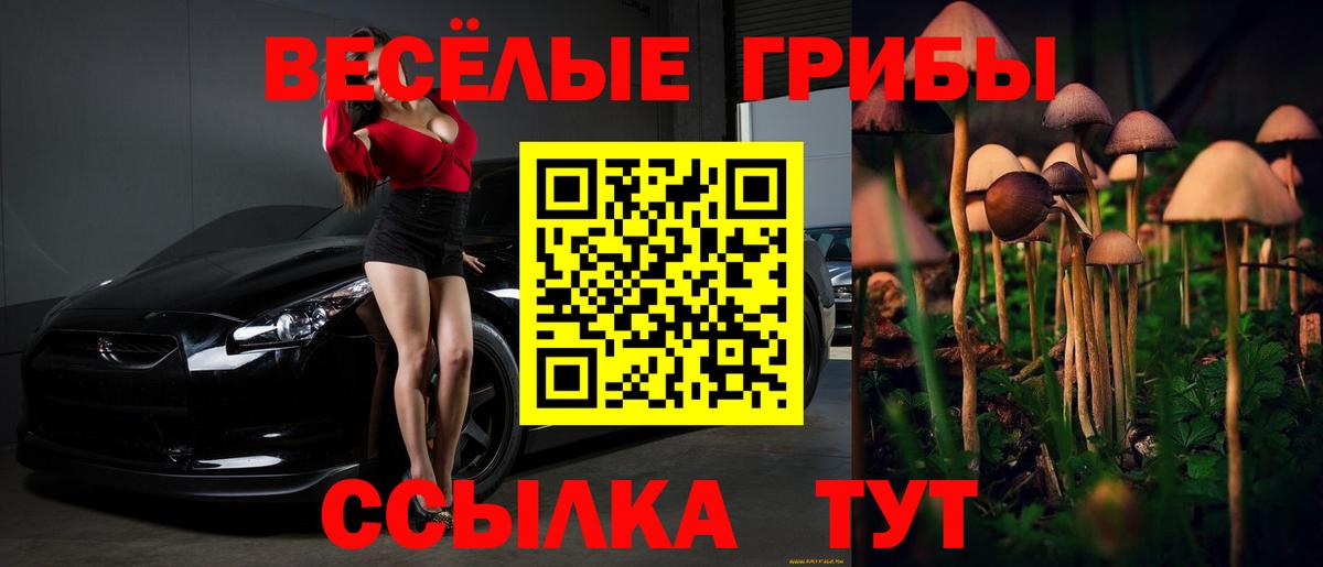Галлюциногенные грибы Cubensis  Вход с VPN  Уссурийск 